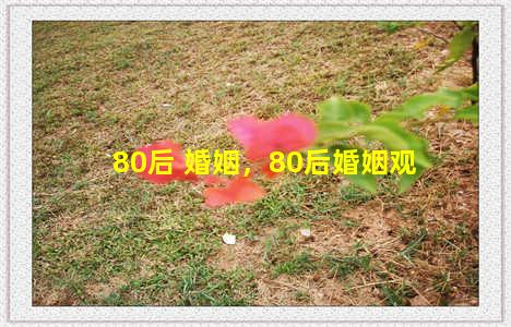 80后 婚姻，80后婚姻观